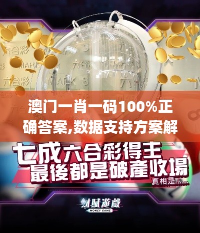 澳门一肖一码100%正确答案,数据支持方案解析_WP21.666