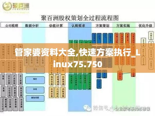 管家婆资料大全,快速方案执行_Linux75.750