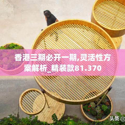 香港三期必开一期,灵活性方案解析_精装款81.370