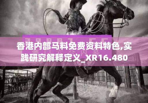 香港内部马料免费资料特色,实践研究解释定义_XR16.480