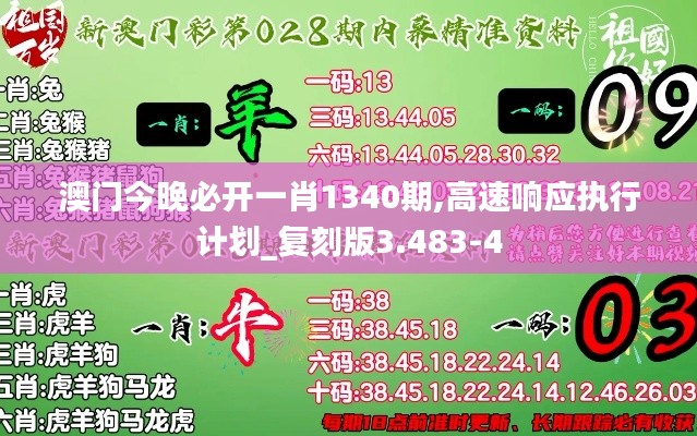 澳门今晚必开一肖1340期,高速响应执行计划_复刻版3.483-4