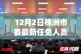 株洲市委最新任免人员调整深度解析与观点阐述，12月2日人事变动概览