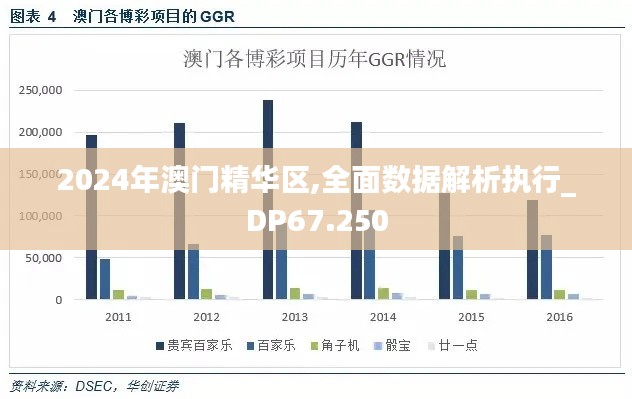 2024年澳门精华区,全面数据解析执行_DP67.250