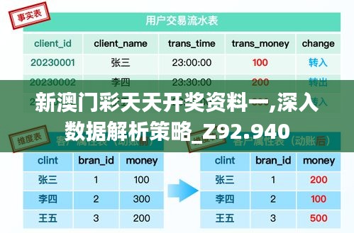 新澳门彩天天开奖资料一,深入数据解析策略_Z92.940