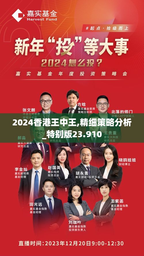 2024香港王中王,精细策略分析_特别版23.910