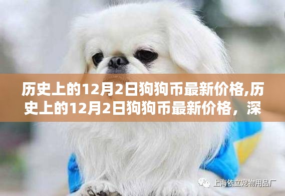 历史上的12月2日狗狗币价格回顾与深度分析