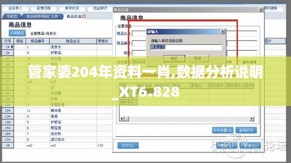 管家婆204年资料一肖,数据分析说明_XT6.828