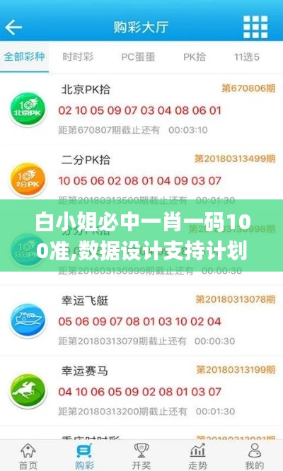 白小姐必中一肖一码100准,数据设计支持计划_旗舰版7.348