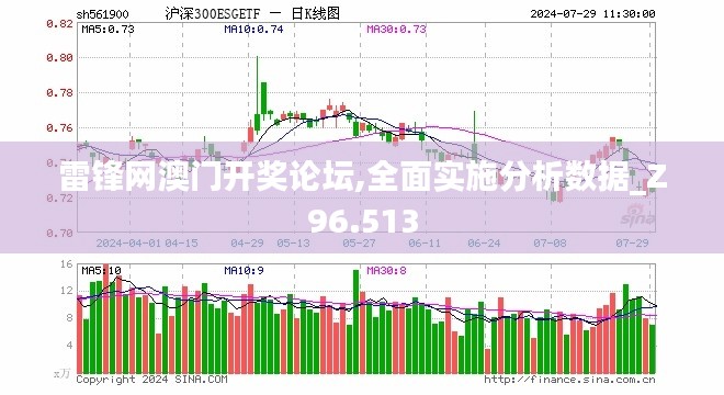 雷锋网澳门开奖论坛,全面实施分析数据_Z96.513