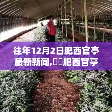 肥西官亭12月2日自然探索之旅，心灵与美景的交融盛会