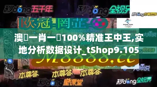 澳門一肖一碼100%精准王中王,实地分析数据设计_tShop9.105