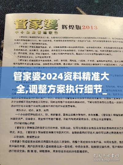 管家婆2024资料精准大全,调整方案执行细节_DP21.411