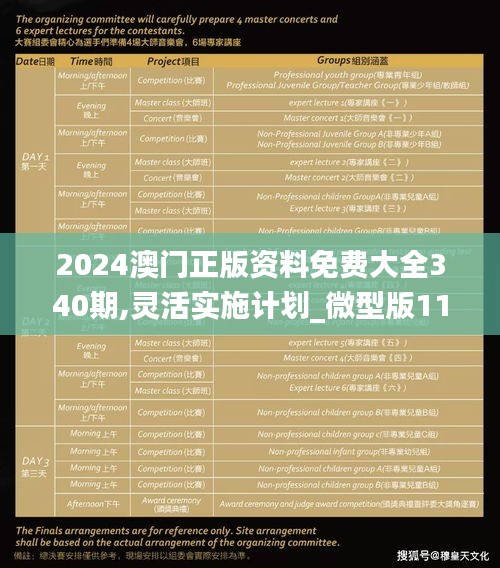 2024澳门正版资料免费大全340期,灵活实施计划_微型版11.937-4