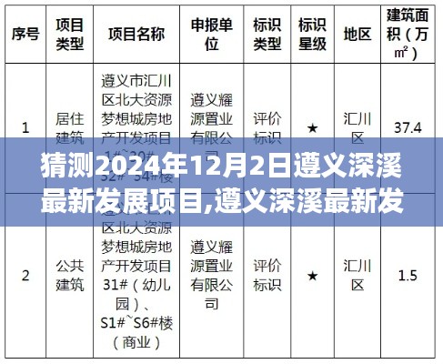 遵义深溪最新发展项目预测，揭秘2024年12月2日发展蓝图与预测指南