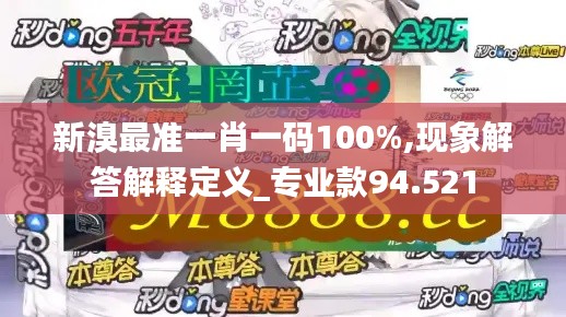 新溴最准一肖一码100%,现象解答解释定义_专业款94.521