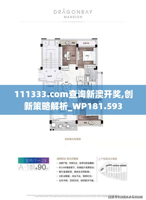 111333.соm查询新澳开奖,创新策略解析_WP181.593