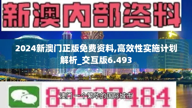 2024新澳门正版免费资料,高效性实施计划解析_交互版6.493