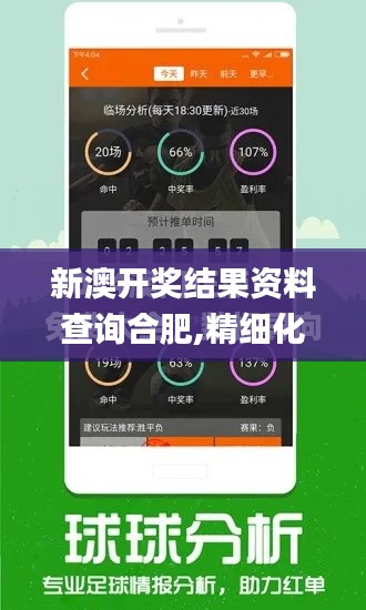 新澳开奖结果资料查询合肥,精细化计划执行_P版9.495