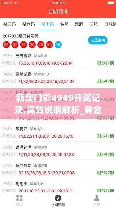 新澳门彩4949开奖记录,高效说明解析_黄金版3.361