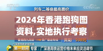 2024年香港跑狗图资料,实地执行考察方案_9DM4.609