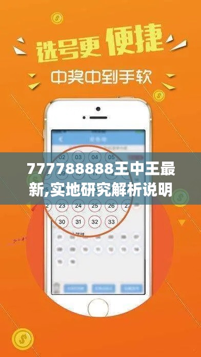 777788888王中王最新,实地研究解析说明_VR版8.736