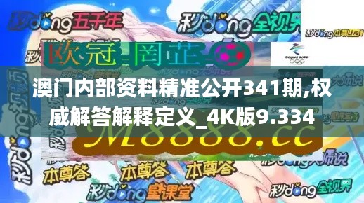 澳门内部资料精准公开341期,权威解答解释定义_4K版9.334