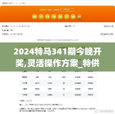 2024特马341期今晚开奖,灵活操作方案_特供版14.825