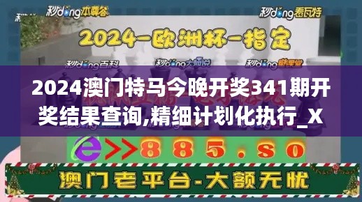 2024澳门特马今晚开奖341期开奖结果查询,精细计划化执行_XR15.247