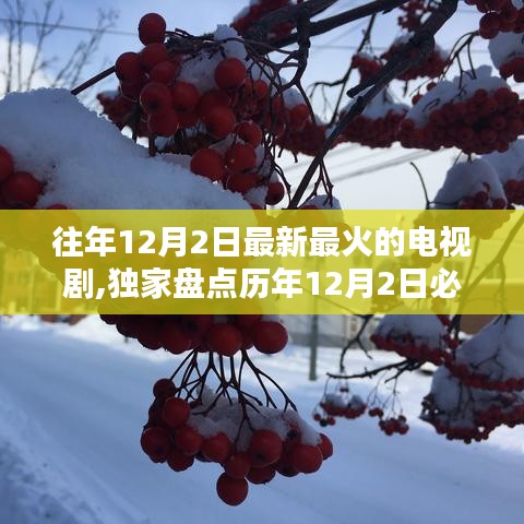 独家盘点，历年12月2日必追爆款电视剧，你错过了哪部经典？