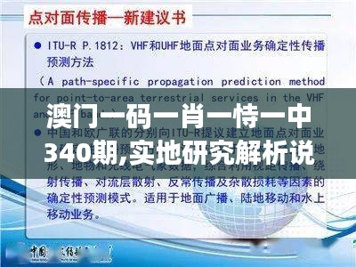 澳门一码一肖一恃一中340期,实地研究解析说明_M版2.316