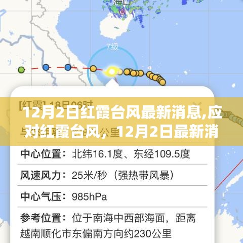 红霞台风最新消息，应对防御指南与最新动态