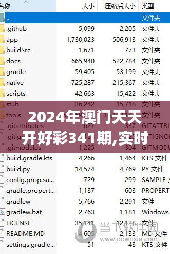 2024年澳门天天开好彩341期,实时更新解释定义_战略版1.329