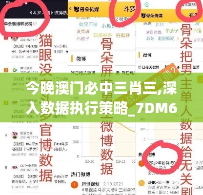 今晚澳门必中三肖三,深入数据执行策略_7DM6.417