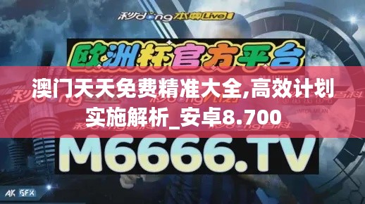 澳门天天免费精准大全,高效计划实施解析_安卓8.700