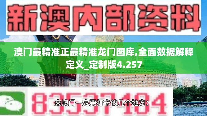 澳门最精准正最精准龙门图库,全面数据解释定义_定制版4.257