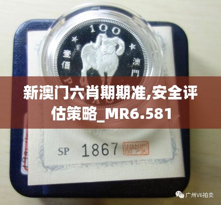 新澳门六肖期期准,安全评估策略_MR6.581