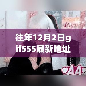 某某视角下的探讨，往年12月2日gif555最新地址解析与探讨