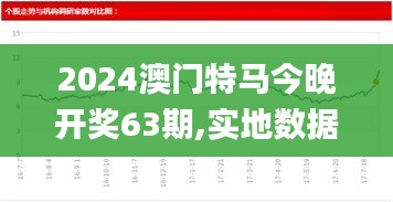 2024澳门特马今晚开奖63期,实地数据验证策略_Tizen8.166