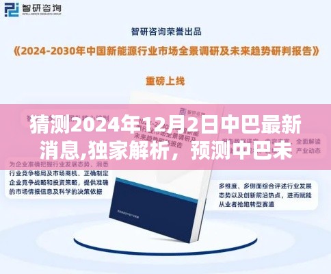 独家解析预测，2024年12月2日中巴合作新动向及未来合作展望评测报告