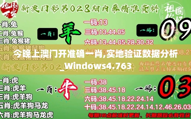 今晚上澳门开准确一肖,实地验证数据分析_Windows4.763