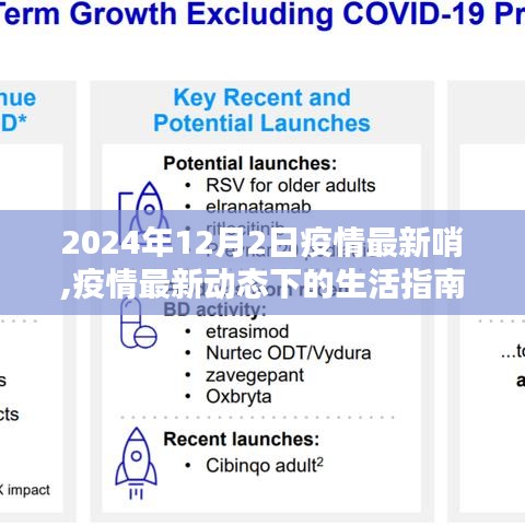 2024年12月疫情最新动态下的生活指南，初学者与进阶用户的全面应对指南