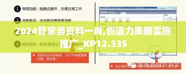 2024管家婆资料一肖,创造力策略实施推广_XP12.335