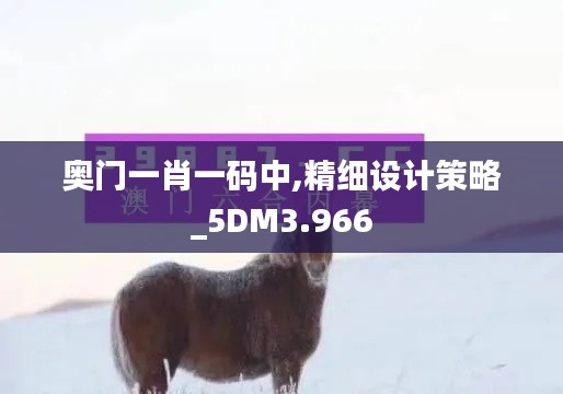 奥门一肖一码中,精细设计策略_5DM3.966