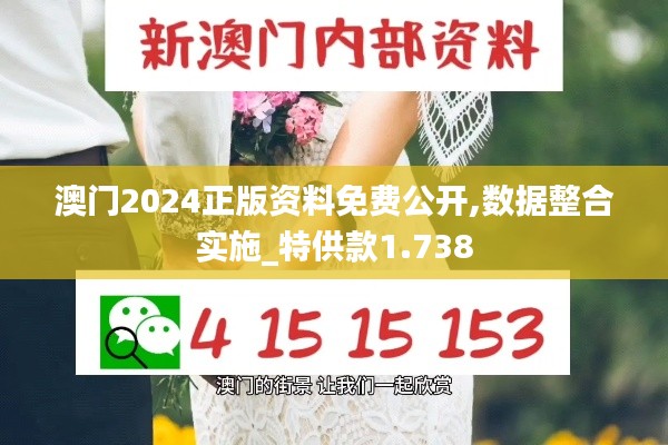 澳门2024正版资料免费公开,数据整合实施_特供款1.738