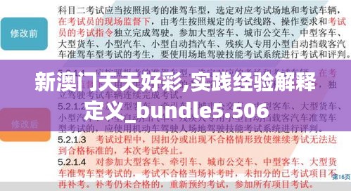 新澳门天天好彩,实践经验解释定义_bundle5.506