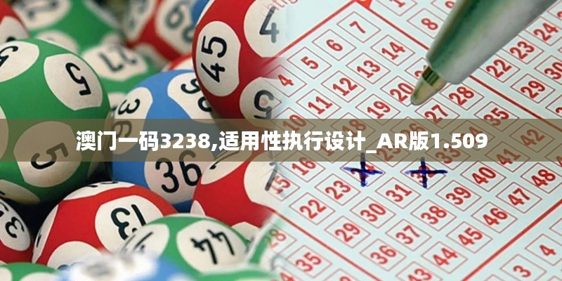 澳门一码3238,适用性执行设计_AR版1.509