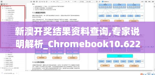 新澳开奖结果资料查询,专家说明解析_Chromebook10.622