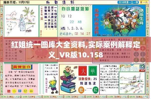 红姐统一图库大全资料,实际案例解释定义_VR版10.158