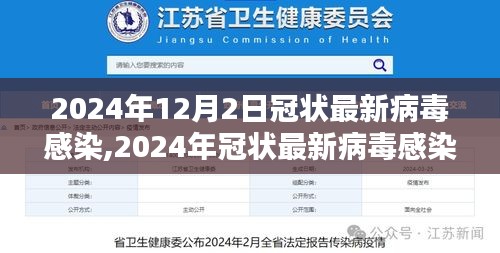 全球关注与应对策略，2024年冠状最新病毒感染的挑战与应对