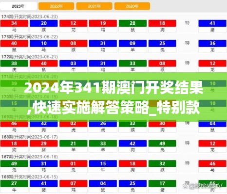 2024年341期澳门开奖结果,快速实施解答策略_特别款2.535